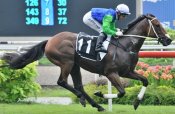 Flying West<br>Photo by Singapore Turf Club